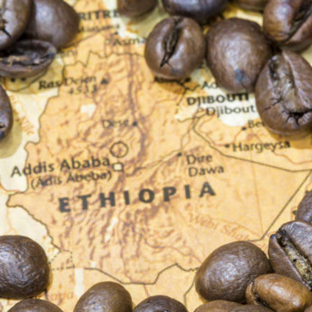 Äthiopien Kaffee Entstehung - all4break